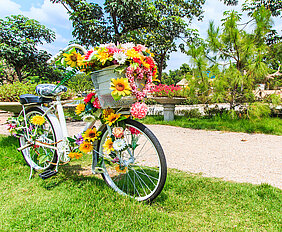 flower on a bicycle background Lawn